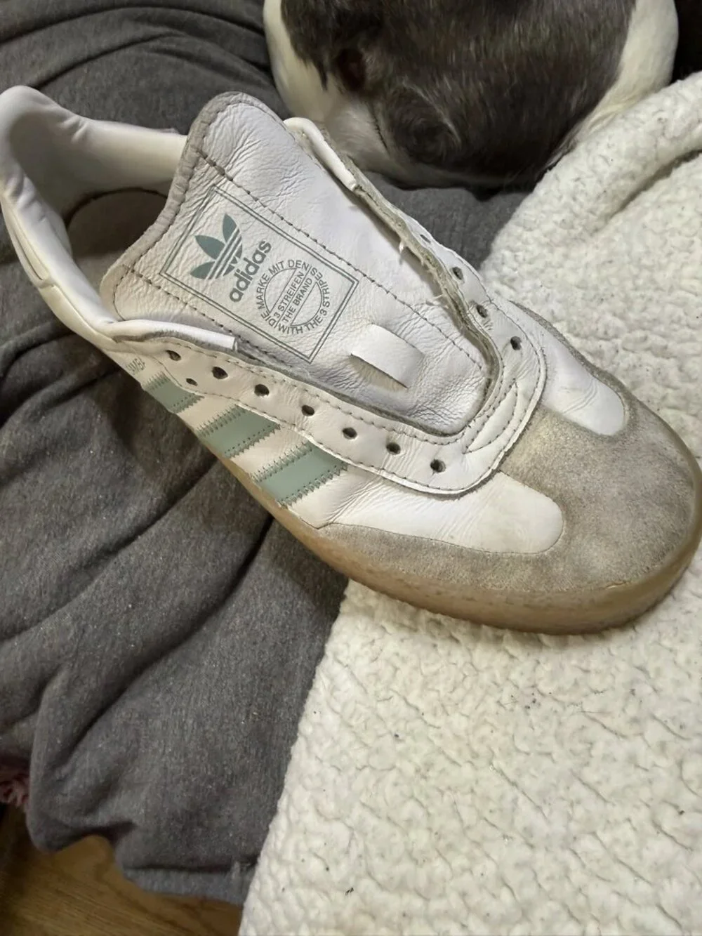 Adidas Originals Sambas White & Seafoam Suede